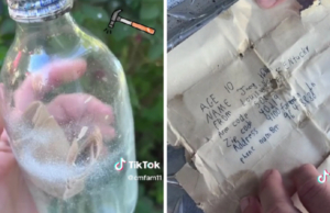 Вратена на сопственикот пораката во шише што ја испратил во 1985 година – „Ова е неверојатно“