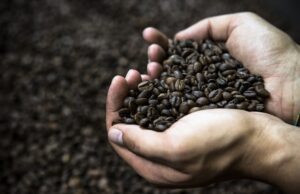 Како кафето не држи будни?