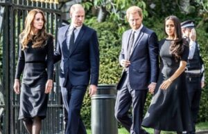 Принцот Хари никогаш не бил поомразен, Британците не го сакаат во редот за круната