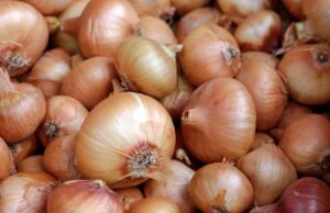 Ќе биде свеж до 6 месеци: Најдобар начин за чување на кромидот дома