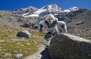 Научниците мислат дека конечно ја решиле мистеријата за Бигфут