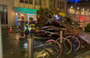 Силно невреме во Калифорнија, има и жртви