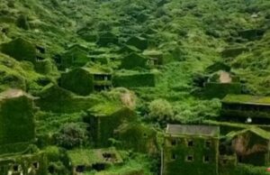 Во 1990-тите, луѓето го напуштија ова рибарско село, па природата си го презеде – денес изгледа нереално