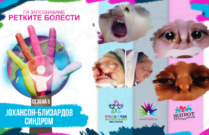 Ги запознаваме ретките болести: Јохансон-Близардов синдром