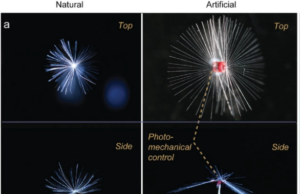 Неверојатниот робот „самовила“ лебди на ветрето како семе од глуварче