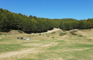 Оази на мирот: Објавена листа на најмирни градови во светот