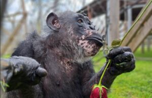 ФОТО: Ова е најстарата „жителка“ во ЗОО Скопје