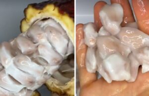 Луѓето се згрозиле кога го виделе создавањето на чоколадото: „Никогаш повеќе нема да го јадам“