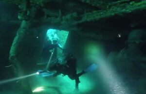 Во брод што потонал во 1495 година во Балтичкото Море, пронајдени се зачини во добра состојба