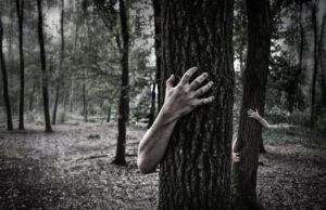 Фановите на хорор тврдат дека ова се најстрашните филмови на Нетфликс