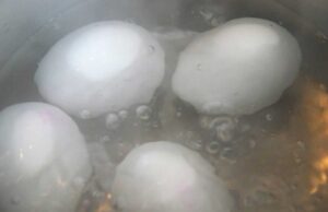 Водата од варени јајца е добра за вашите растенија