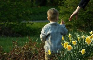 Дали знаете кој цвет е симбол на Велигден?