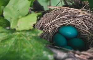 Зошто за Велигден се вапцаат јајца? – Три легенди тврдат различно, но верниците со векови не отстапуваат од оваа традиција!