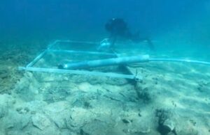 Остатоци од пат стар 7.000 години пронајдени во морето кај Корчула