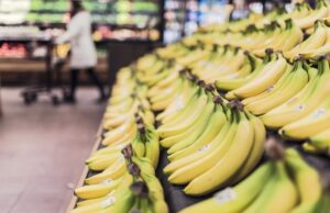 Студент во музеј изел банана изложена на ѕидот: „Не појадував, бев гладен“