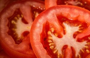 Ако сакате да имате домати од јули до ноември посадете ги вака: Ќе бидат отпорни на сите болести!