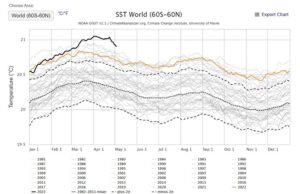 Неочекувано високите температури на океаните ги вознемирија научниците – „Ова е страшно“