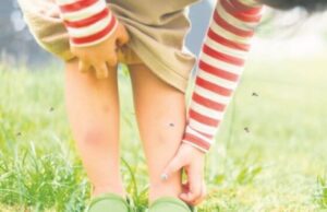 Еве која крвна група е „најслатка“ за комарците