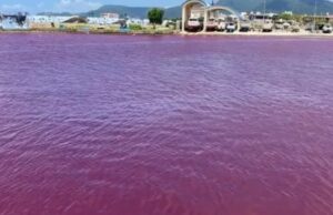 ВИДЕО: Морето во Јапонија преку ноќ поцрвене