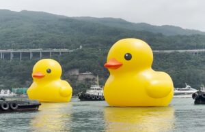 „Носат двојна среќа“: Две џиновски гумени патки во Хонг Конг