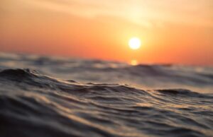 ВИДЕО: Анимација која нема да ве остави рамнодушни, вака се подига нивото на морето