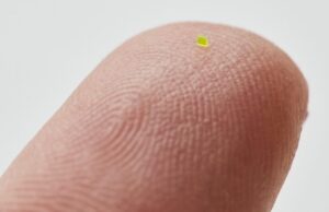 Најлесната женска чанта за губење – помала e од зрнце сол