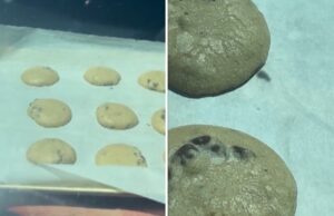 За да докажат колку е жешко, чувари на парк печеа колачиња – во автомобил (ВИДЕО)