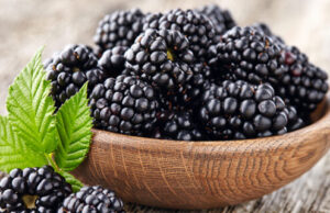 Капините се бобинки кои го чуваат нашето здравје