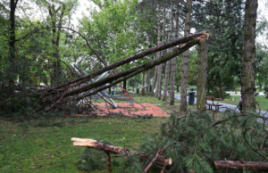 Шест загинати во невремето на Балканот