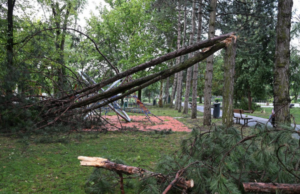 Хрватска ја погоди ново невреме: Поплавени улици и паднати гранки во Риека