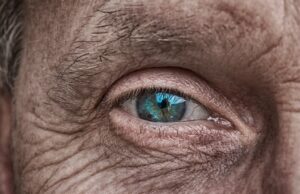 Научник од Харвард тврди дека пронашол коктел кој може да го промени стареењето