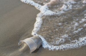 Истражување – Во езерата има повеќе микропластика отколку во океаните