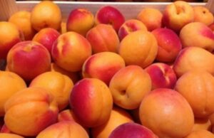 Опасен тренд се шири на социјалните мрежи: Лекарите предупредуваат дека може да биде смртоносен