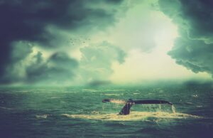 Откриен непознат фосил на кит стар 41 милиони години