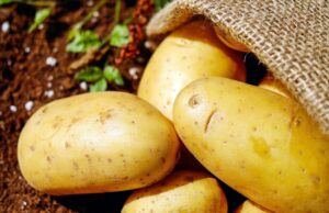 Дали компирот е навистина здрав? Еве што велат нутриционистите