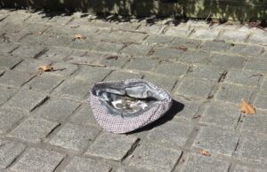 Што значи кога ќе најдете пари на улица? Секоја носи јака симболика и праќа порака!