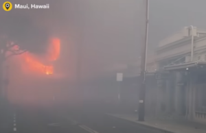 Најмалку 99 жртви и стотици исчезнати во пожарите на Хаваите