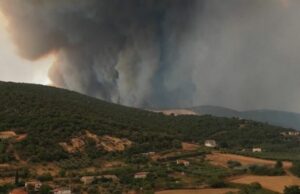 Пожар во Грција, во близина со македонската граница