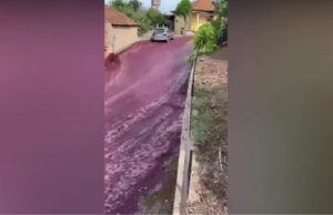 Река вино течеше низ улиците: Снимки од Португалија го обиколија светот!