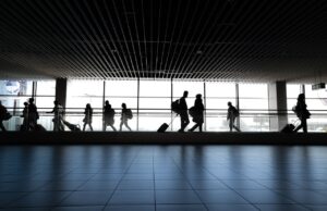 Куче изгубeно на најпрометниот аеродром во светот, прoнајдено по три седмици