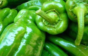 Во Хрватска откриен забранет токсичен пестицид кај пиперки увезени од Македонија