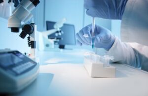 Научници од Кина открија осум досега непознати патогени кои се шират меѓу глодарите и имаат способност да заразат луѓе