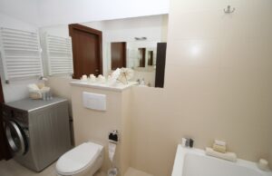 Дали знаете за што служат двете копчиња во тоалетот?