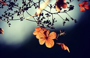 3 ХОРОСКОПСКИ ЗНАЦИ ЕДВAJ ГО ЧЕКААТ КРАЈОТ НА ОКТОМВРИ! Ќе бегаат од промени и предизвици, САМО ЕДЕН ќе сврти се во негова полза!