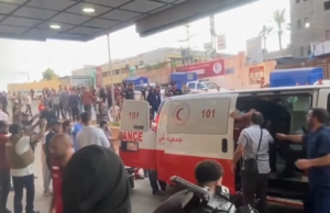 Бројот на загинати деца во Палестина се искачи на 2000