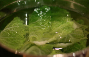 Лековита облога за бронхитис и упорна кашлица