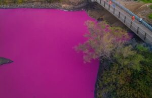 Популарното хавајско езеро одеднаш стана розево