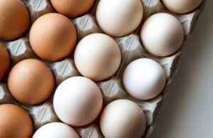 Jајцата со бела лушпа имаат помалку холестерол