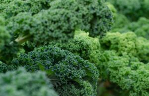 Спанаќ или кељ, што е поздраво? Еве што велат нутриционистите