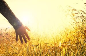 Откриен сосема нов механизам за чувствување на допир кај човекот